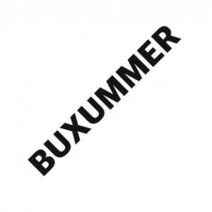 Наклейка на авто BUXUMMER