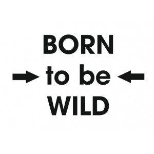 Наклейка на авто Born to be Wild