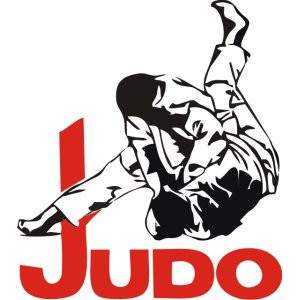 Наклейка на авто Дзюдо версия 1, Judo. Ваш цвет надписи