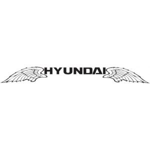 Наклейка на авто Hyundai Научим летать