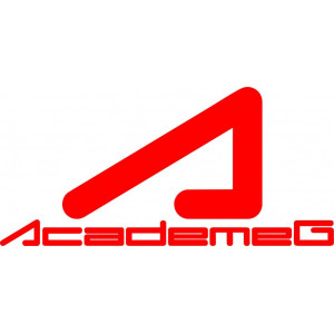 Наклейка на авто Academeg logo