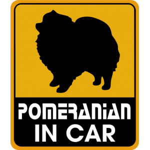 Наклейка на авто Собака в машине. Pomeranian in car. Полноцветная