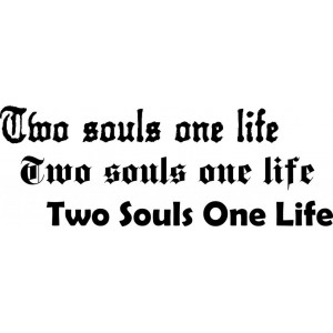 Наклейка на авто Two Souls One Life 