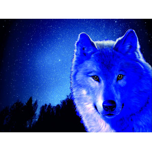Наклейка на авто Волк и звездное небо версия 2 полноцветная