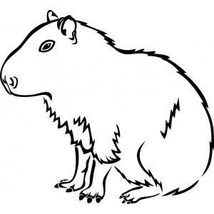 Наклейка на авто Капибара. Capybara Водосвинка