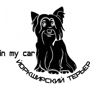 Наклейка на авто Собака в машине. Йоркширский терьер версия 2