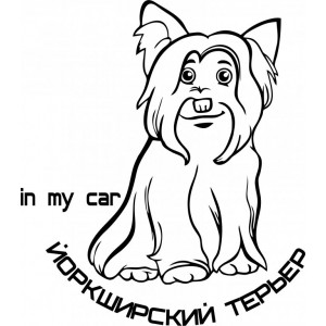 Наклейка на авто Собака в машине. Йоркширский терьер версия 1