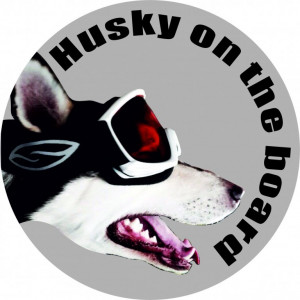 Наклейка на авто Хаски в машине версия 7. Husky. Полноцветная