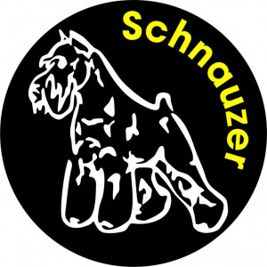 Наклейка на авто Шнауцер версия 6. (Schnauzer). Собака в машине. Полноцветная