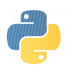 Наклейка на авто Язык программирования Python