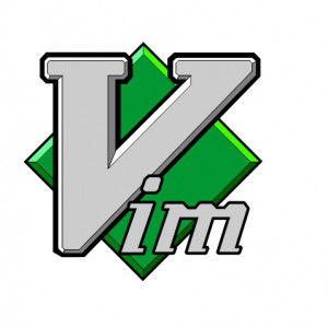Наклейка на авто Программа Vim