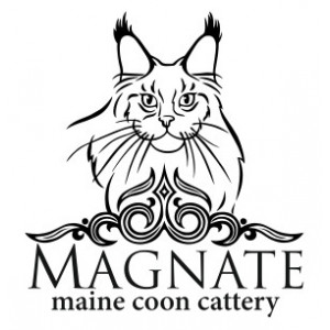 Наклейка на авто Magnate maine coon cattery