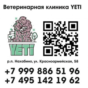 Наклейка на авто Ветеринарная клиника Yeti
