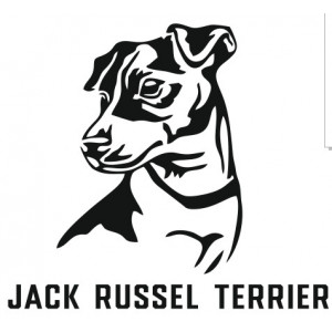 Наклейка на авто Собака в машине Jack russel terrier. Джек рассел терьер